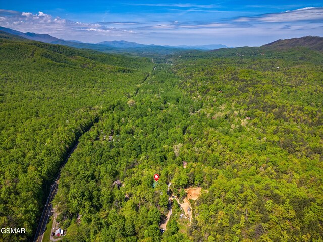 5014 Latta Way, Gatlinburg, TN 37738 - photo 26