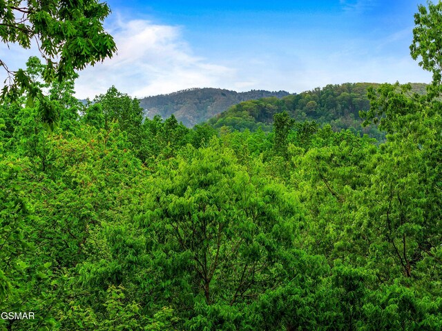 5014 Latta Way, Gatlinburg, TN 37738 - photo 27
