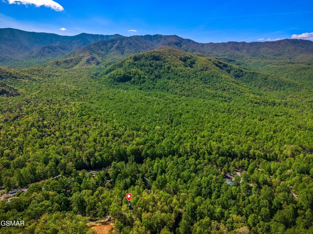 5014 Latta Way, Gatlinburg, TN 37738 - photo 25