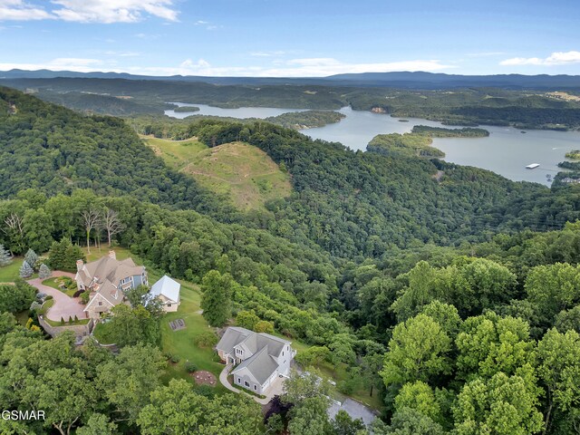 498 Proffitt Ridge Rd, Mooresburg, TN 37811 - aerial view of a heavily wooded area and a water and mountain view