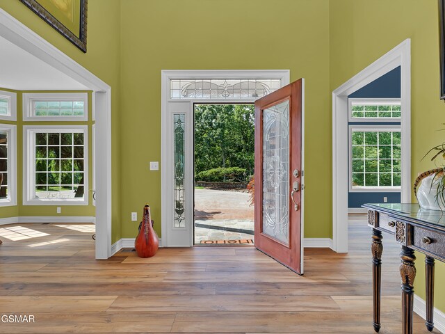 498 Proffitt Ridge Rd, Mooresburg, TN 37811 - foyer featuring a towering ceiling and light wood finished floors