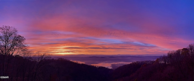 498 Proffitt Ridge Rd, Mooresburg, TN 37811 - view of mountain background featuring a forest