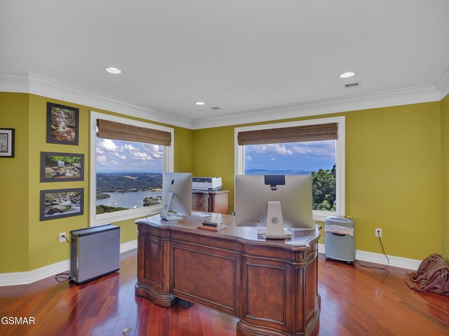 498 Proffitt Ridge Rd, Mooresburg, TN 37811 - home office with healthy amount of natural light, dark wood-style floors, ornamental molding, and recessed lighting