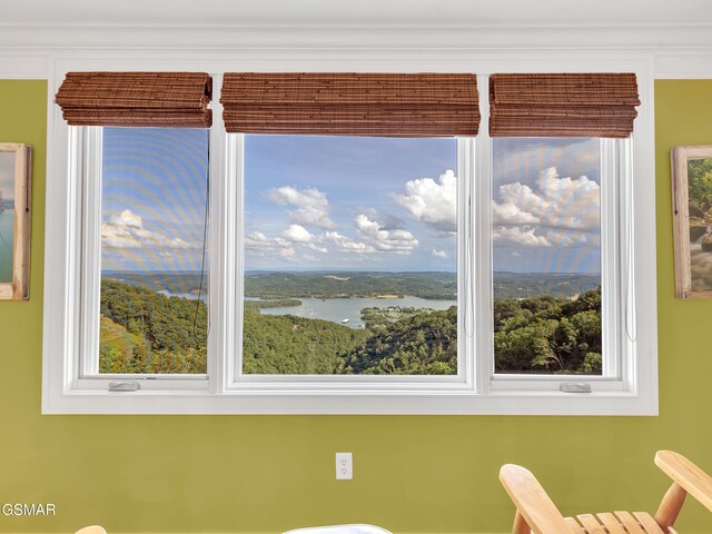 498 Proffitt Ridge Rd, Mooresburg, TN 37811 - detailed view of nearby water