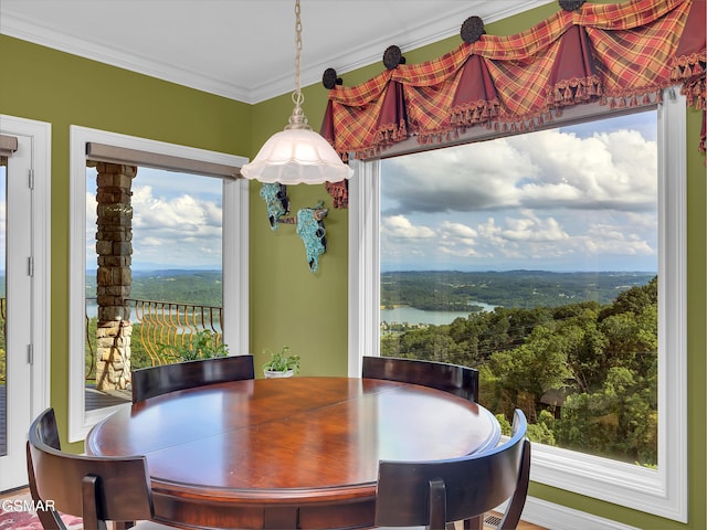 498 Proffitt Ridge Rd, Mooresburg, TN 37811 - dining room with crown molding and a water view