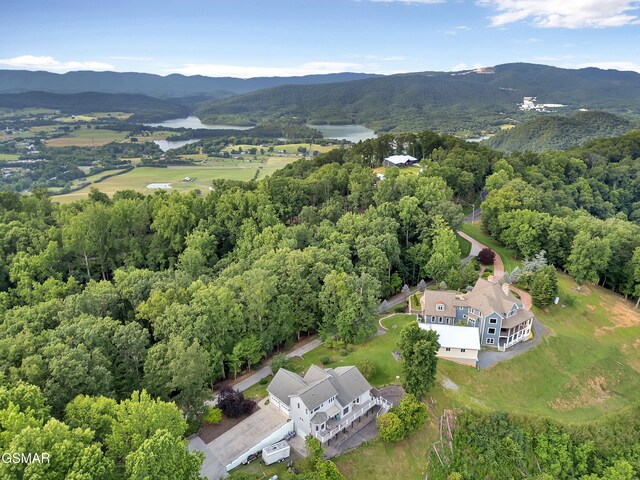498 Proffitt Ridge Rd, Mooresburg, TN 37811 - bird's eye view of a water and mountain view and a forest