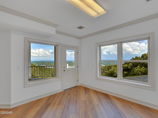 498 Proffitt Ridge Rd, Mooresburg, TN 37811 - unfurnished room featuring light wood-type flooring and ornamental molding