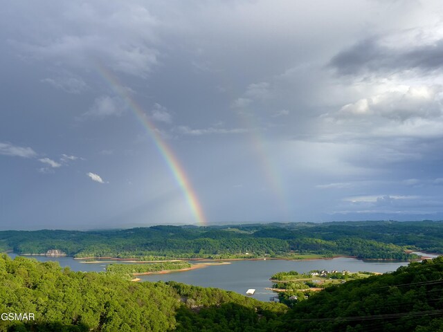 498 Proffitt Ridge Rd, Mooresburg, TN 37811 - water view featuring a forest