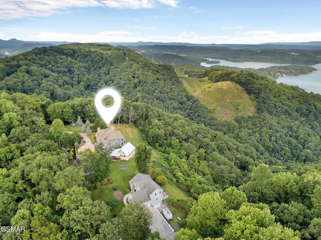 498 Proffitt Ridge Rd, Mooresburg, TN 37811 - drone / aerial view of a heavily wooded area and a water and mountain view