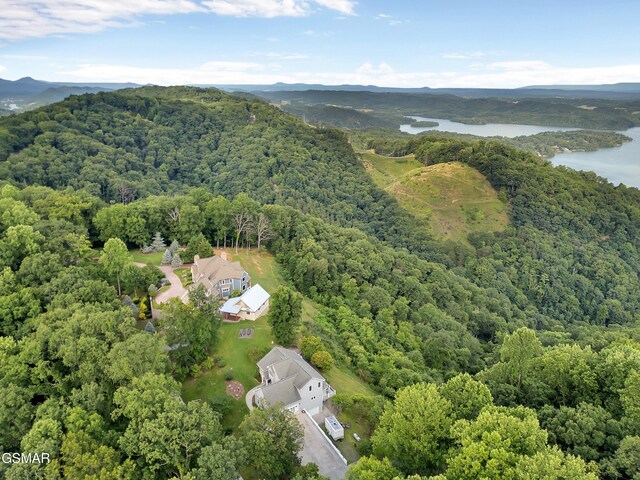 498 Proffitt Ridge Rd, Mooresburg, TN 37811 - drone / aerial view of a forest and a water and mountain view