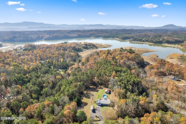 drone / aerial view with a water and mountain view