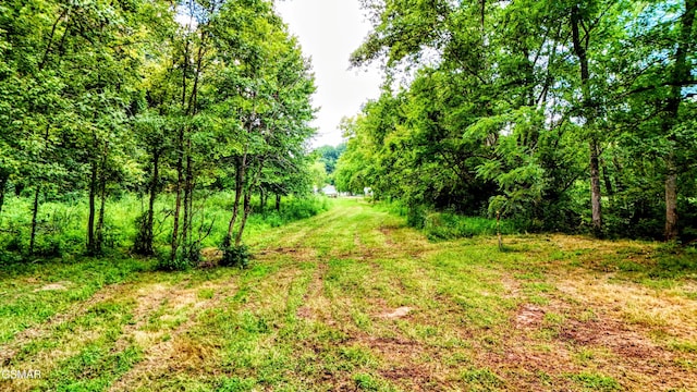 758 Timberlake Cir, Sevierville, TN 37876 - photo 34