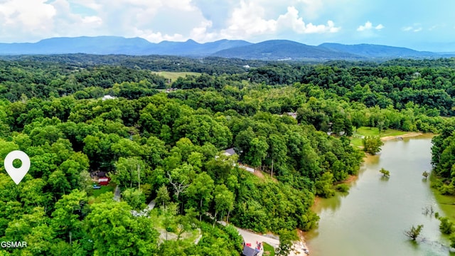 758 Timberlake Cir, Sevierville, TN 37876 - photo 41