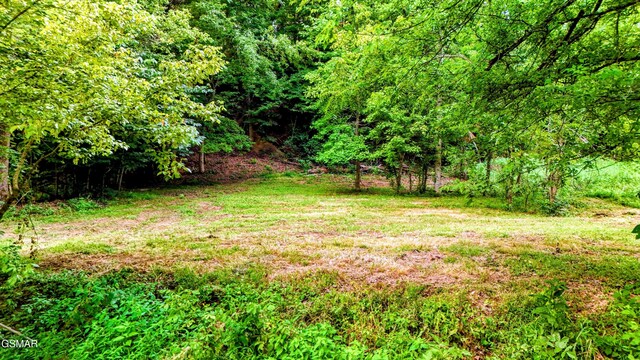758 Timberlake Cir, Sevierville, TN 37876 - photo 35