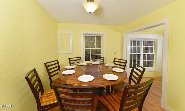 dining space with light hardwood / wood-style floors