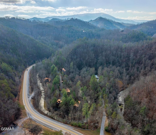 bird's eye view with a mountain view