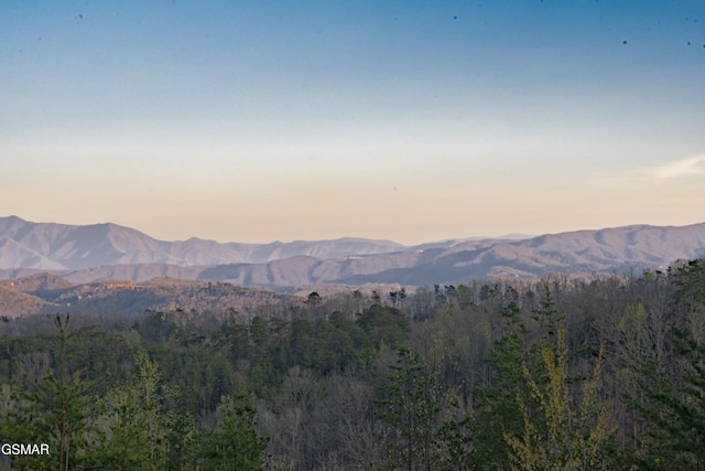 property view of mountains featuring a wooded view