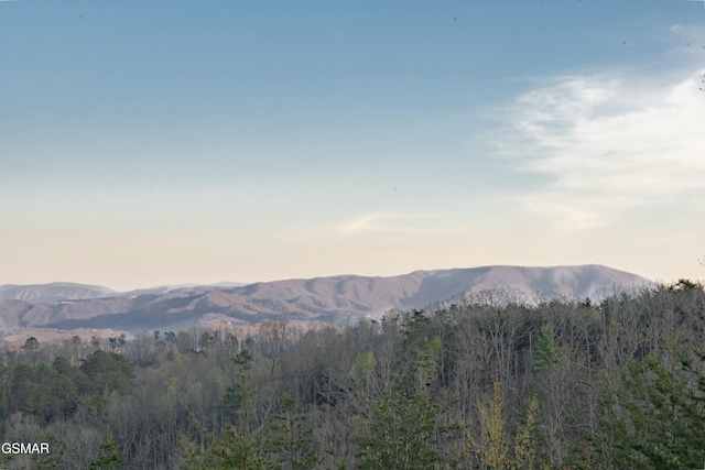 view of mountain feature featuring a view of trees