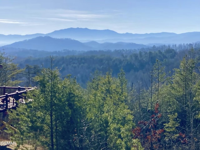 view of mountain feature featuring a forest view