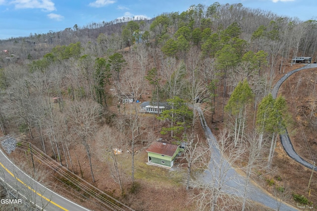 2620 Wears Valley Rd, Sevierville, TN 37862 - photo 53