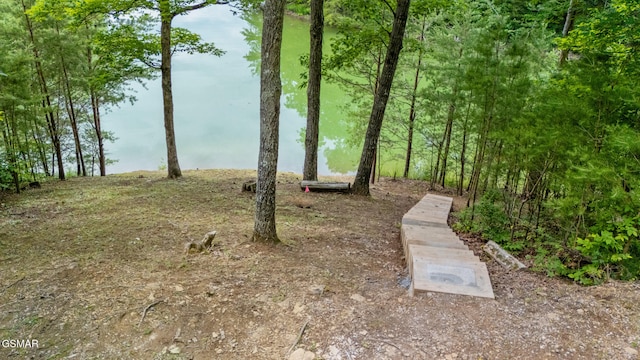 000 Buck Horn Rd, Sevierville, TN 37876 - photo 2