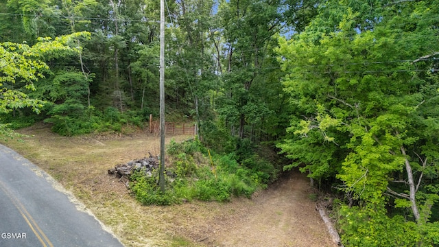 000 Buck Horn Rd, Sevierville, TN 37876 - photo 13