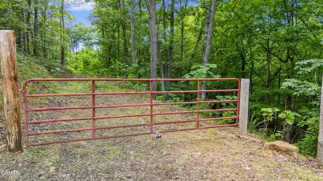 000 Buck Horn Rd, Sevierville, TN 37876 - photo 9