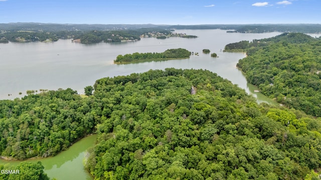 000 Buck Horn Rd, Sevierville, TN 37876 - photo 6