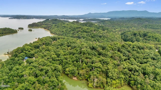 000 Buck Horn Rd, Sevierville, TN 37876 - photo 7
