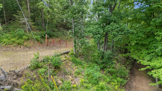 000 Buck Horn Rd, Sevierville, TN 37876 - photo 15