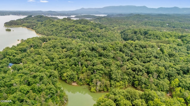 000 Buck Horn Rd, Sevierville, TN 37876 - photo 18