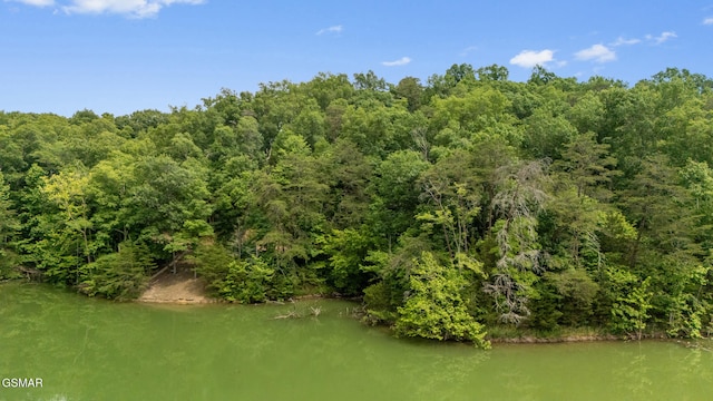 000 Buck Horn Rd, Sevierville, TN 37876 - photo 3