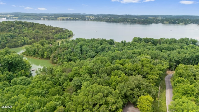 000 Buck Horn Rd, Sevierville, TN 37876 - photo 5