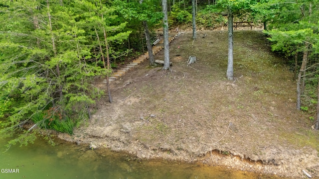 000 Buck Horn Rd, Sevierville, TN 37876 - photo 12