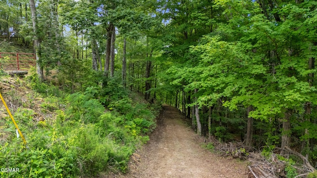 000 Buck Horn Rd, Sevierville, TN 37876 - photo 14