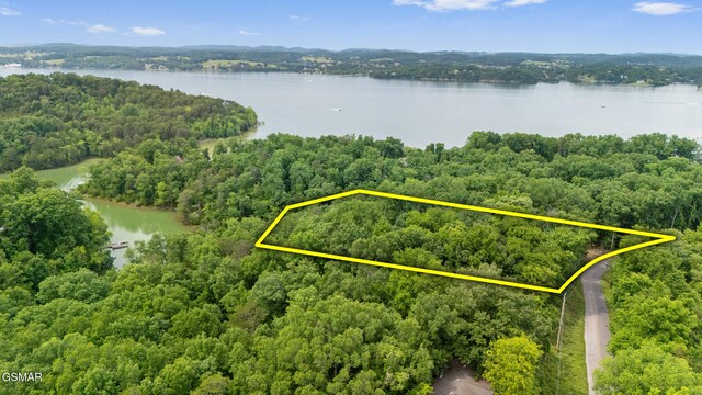 000 Buck Horn Rd, Sevierville, TN 37876 - photo 4