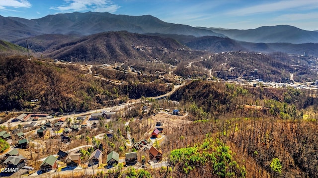 property view of mountains