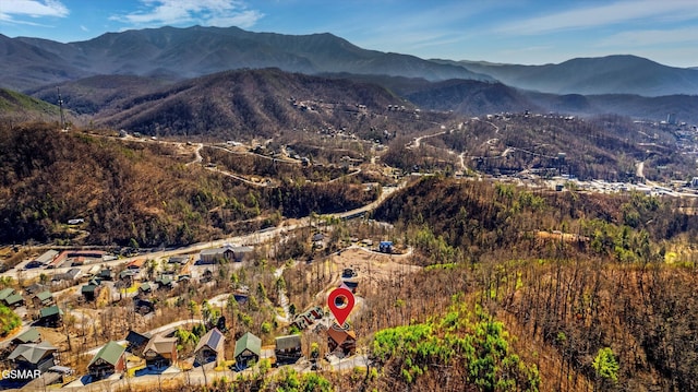 view of mountain feature