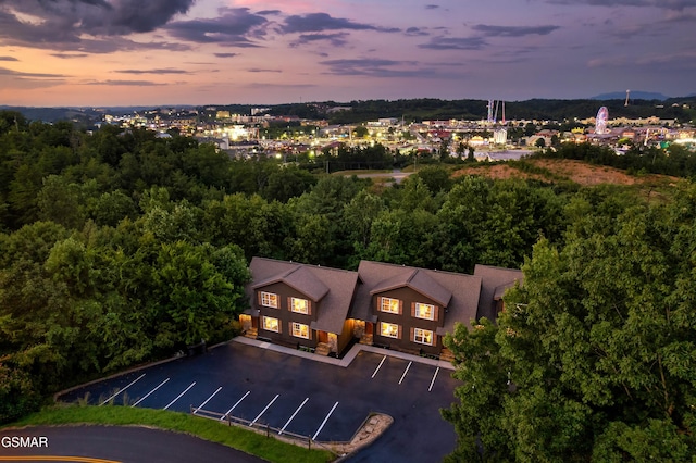 2661 Valley Heights Dr, Pigeon Forge, TN 37863 - photo 10
