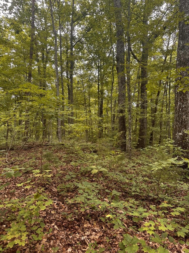 1158 Yellow Breeches Rd, Cosby, TN 37722