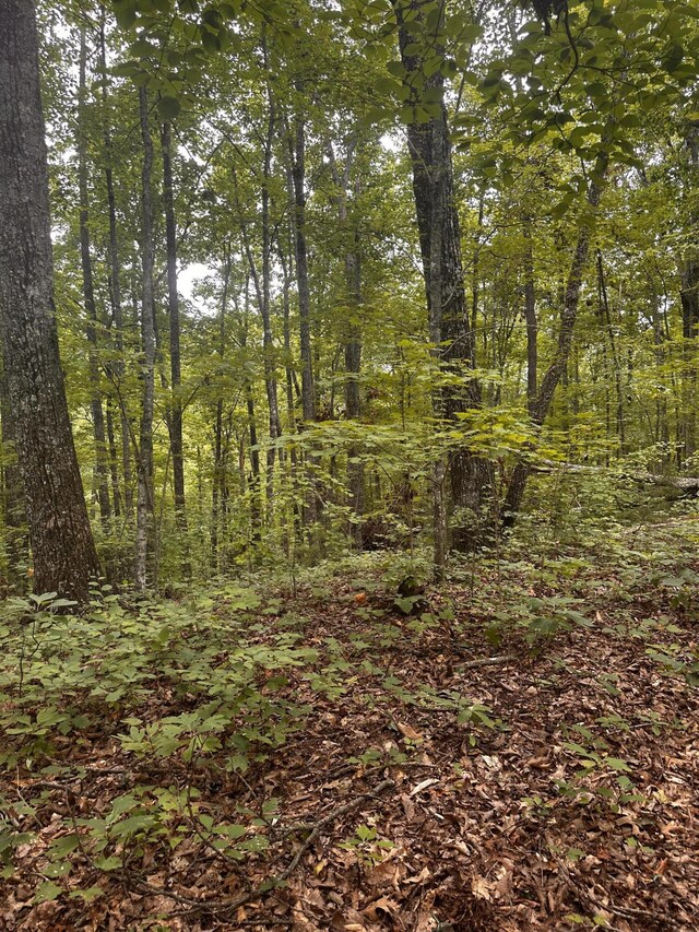 1158 Yellow Breeches Rd, Cosby, TN 37722
