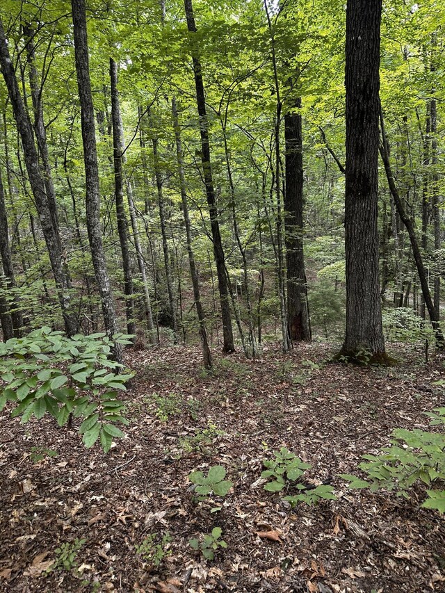 1158 Yellow Breeches Rd, Cosby, TN 37722