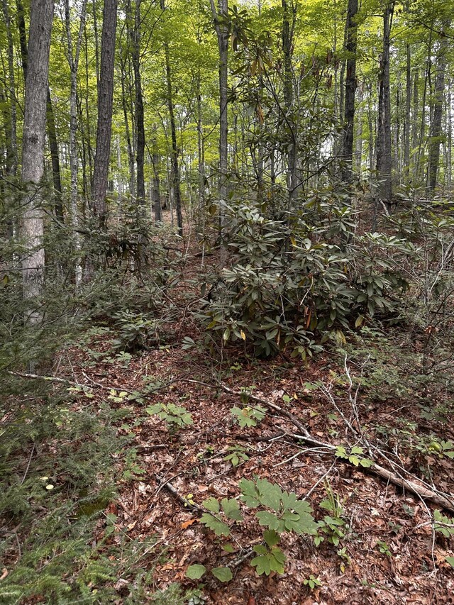 1158 Yellow Breeches Rd, Cosby, TN 37722
