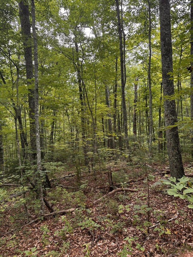 1158 Yellow Breeches Rd, Cosby, TN 37722