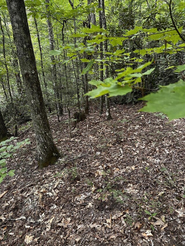 1158 Yellow Breeches Rd, Cosby, TN 37722