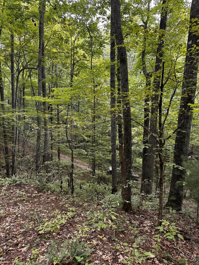 1158 Yellow Breeches Rd, Cosby, TN 37722