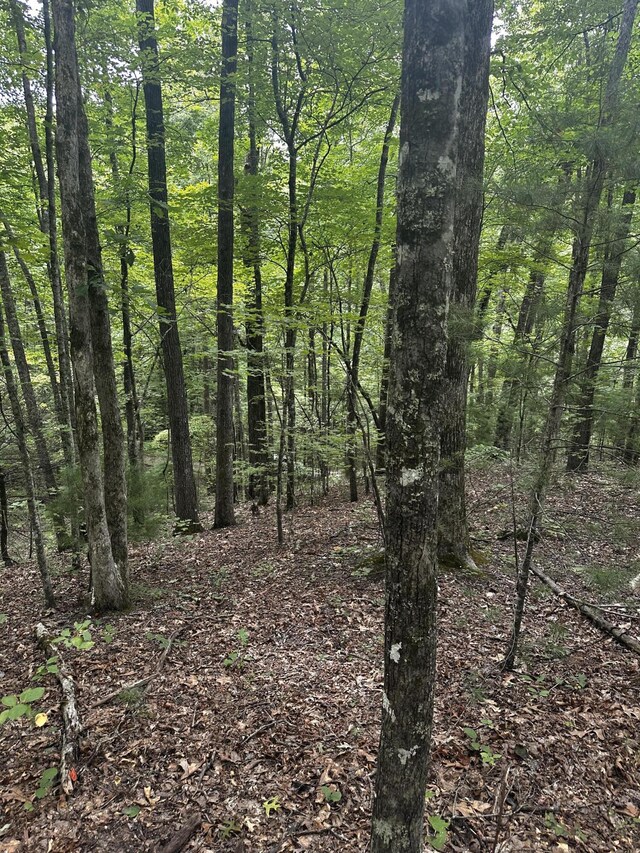 1158 Yellow Breeches Rd, Cosby, TN 37722