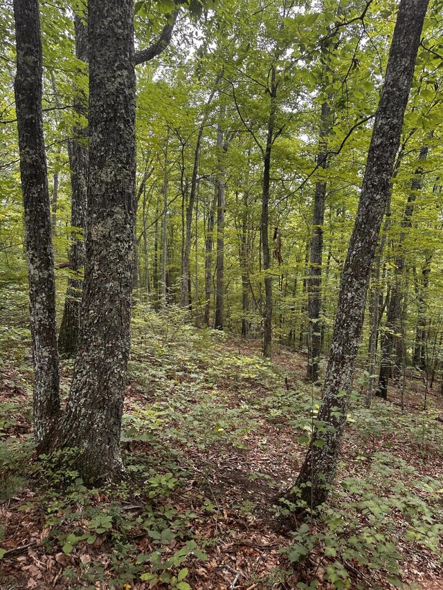 1158 Yellow Breeches Rd, Cosby, TN 37722