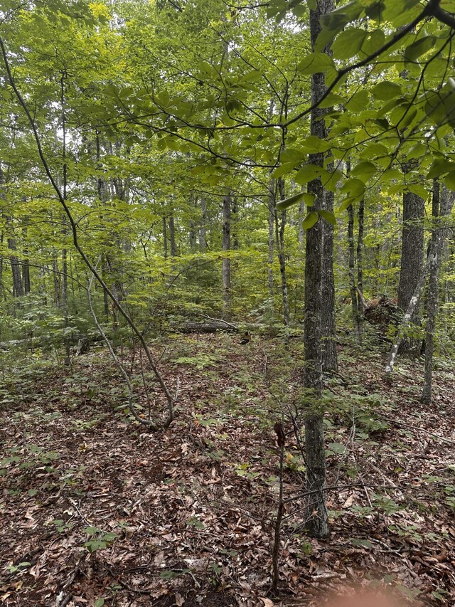 1158 Yellow Breeches Rd, Cosby, TN 37722