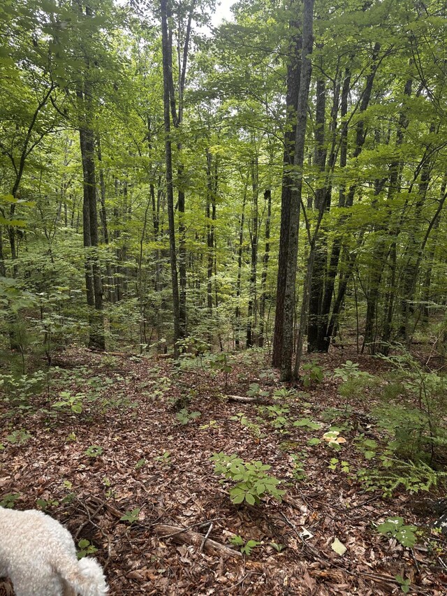 1158 Yellow Breeches Rd, Cosby, TN 37722